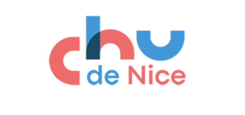 logo chu nice